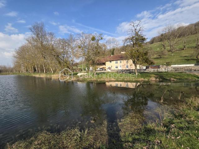 Maison vente à La Tour-du-Pin, Charavines