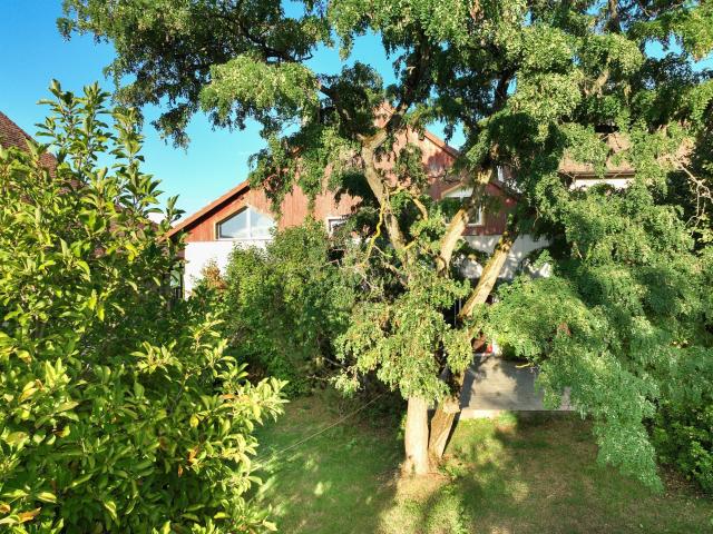 Maison vente à Thonon-les-Bains, Maxilly-sur-léman
