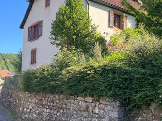 Maison vente à Strasbourg, Collectivité européenne d'Alsace