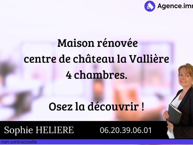 Maison vente à Chinon, Château-la-vallière