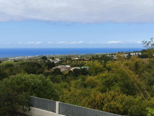 Maison vente à La Réunion