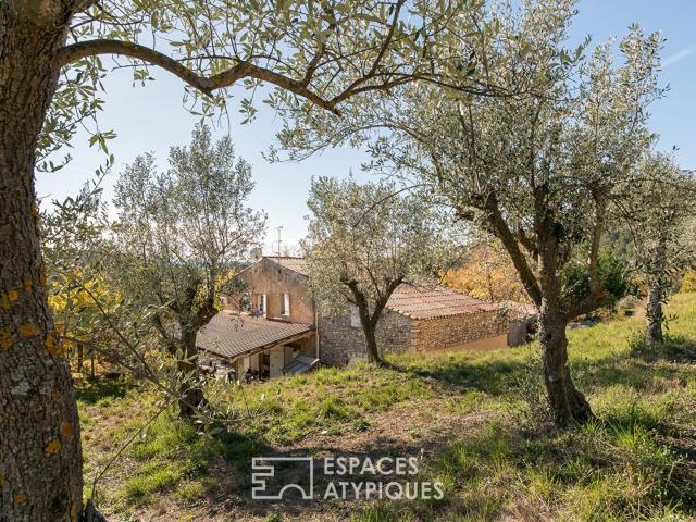 Maison vente à Forcalquier, Manosque