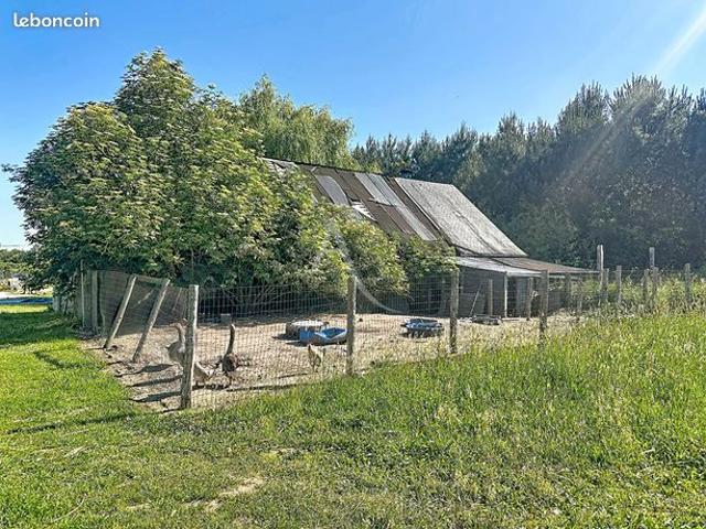 Maison vente à Longué-Jumelles, Maine-et-Loire