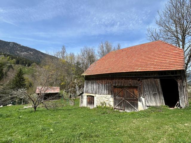 Maison vente à Grenoble, Saint-pierre-de-chartreuse