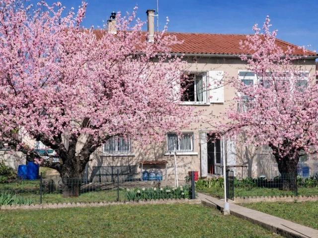 Maison vente à Castres