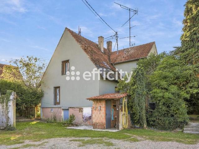 Maison vente à Kutzenhausen, Collectivité européenne d'Alsace