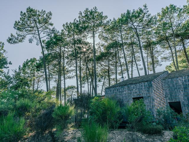 Maison vente à Ispe, Biscarrosse