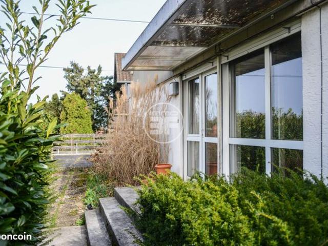 Maison vente à Mulhouse, Buschwiller