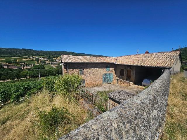 Maison vente à Mâcon, Chasselas