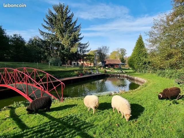 Maison vente à Mortagne-au-Perche, Bretoncelles