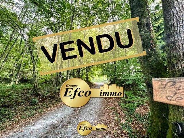 Maison vente à Altkirch, Bellemagny