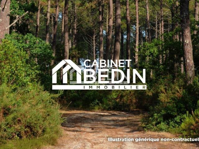 Maison vente à France métropolitaine, Biscarrosse