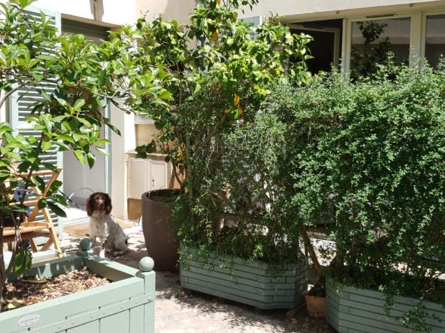 Maison location à Versailles