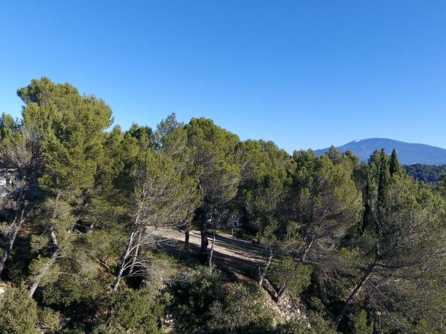 Maison vente à Carpentras, Vaison-la-romaine