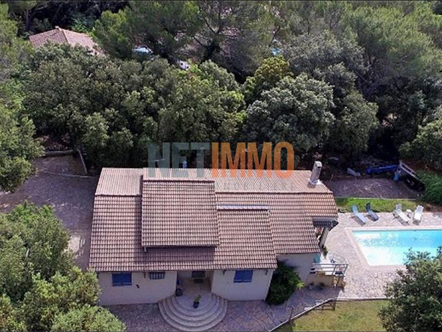 Maison vente à Nîmes, Mus