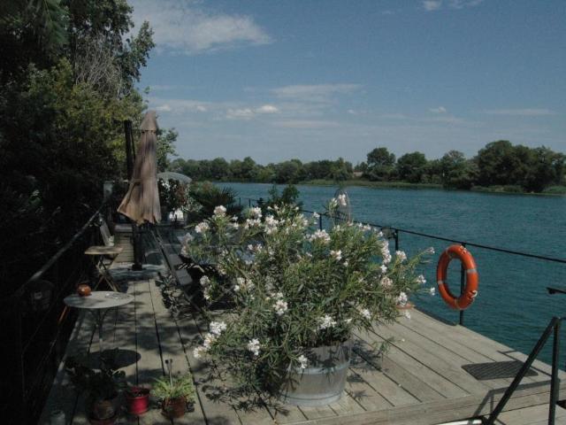 Maison vente à Avignon