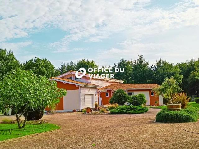 Maison vente à France métropolitaine, Jau-dignac-et-loirac