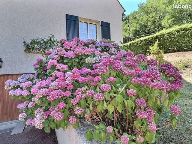 Maison vente à Saint-Germain-en-Laye, Mareil-marly