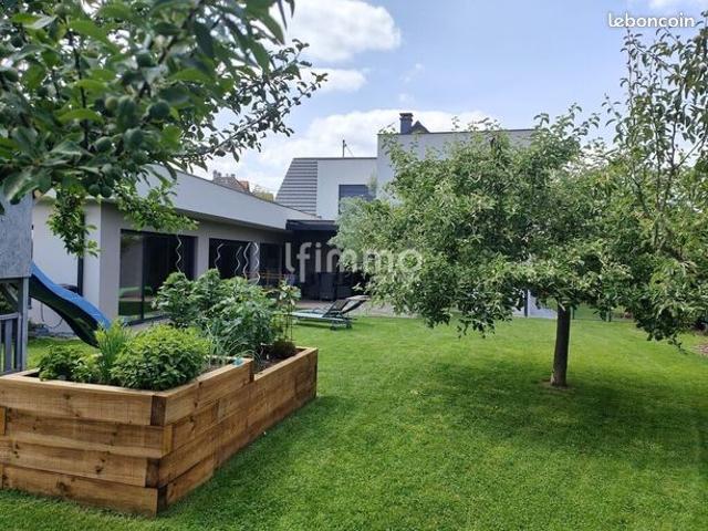 Maison vente à Trimbach, Collectivité européenne d'Alsace