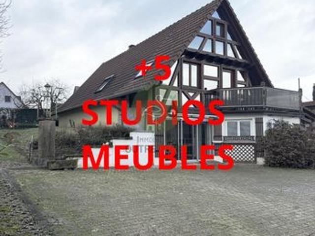 Maison vente à Haguenau-Wissembourg, Merkwiller-pechelbronn