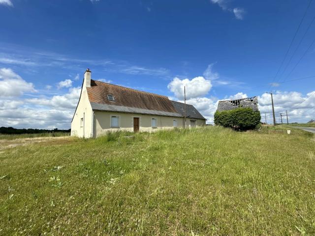 Maison vente à Chinon, Channay-sur-lathan