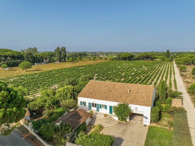 Maison vente à Nîmes, Saint-laurent-d'aigouze