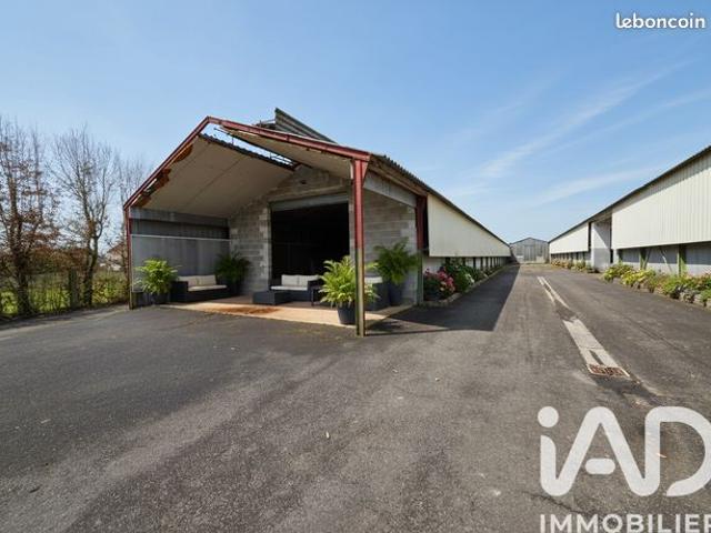 Maison vente à Angoulême, Nersac