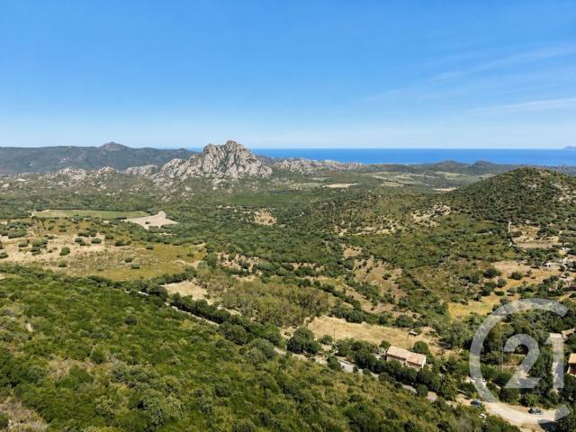 Maison vente à Calvi, Oletta