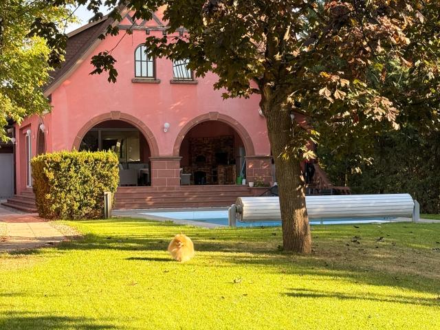 Maison vente à Bennwihr, Collectivité européenne d'Alsace