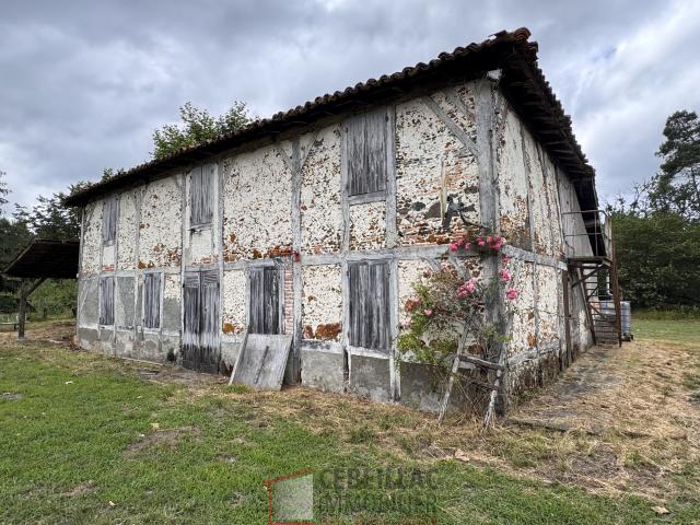 Maison vente à France métropolitaine, Escource