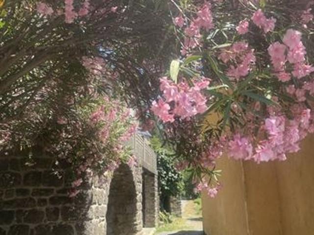 Maison vente à Alès, Bordezac
