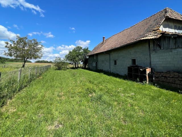 Maison vente à Traubach-le-Bas, Collectivité européenne d'Alsace