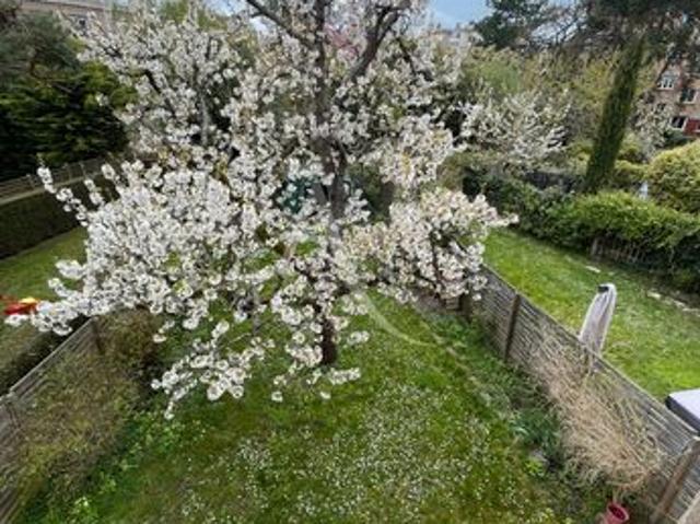 Maison vente à Nanterre, Suresnes