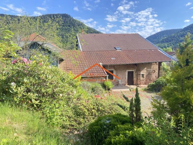 Maison vente à Saint-Dié-des-Vosges, Allarmont