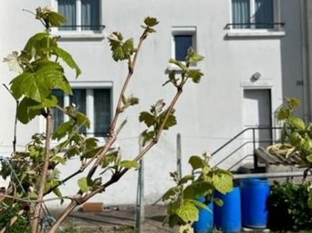 Maison vente à Lorient, Bretagne