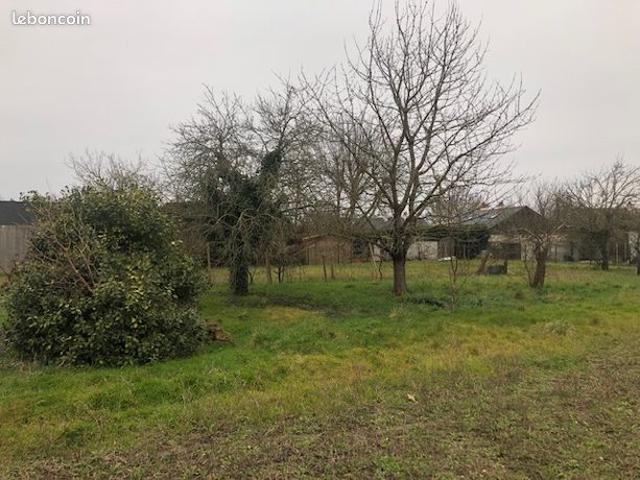 Maison vente à Saumur, Longué-jumelles