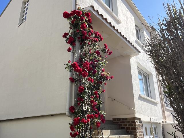 Maison vente à Les Sables-d'Olonne, Château-d'olonne