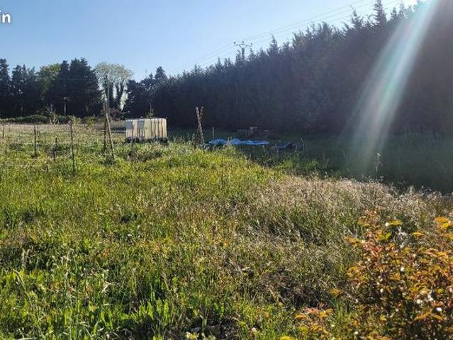 Maison vente à Lodève, Jonquières