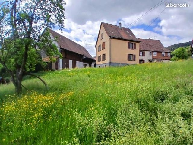 Maison vente à Colmar-Ribeauvillé, Sondernach