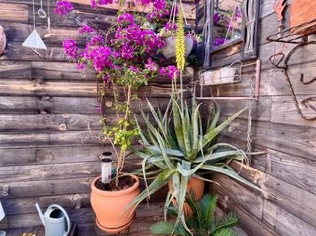 Maison vente à Tarbes, Marseillan