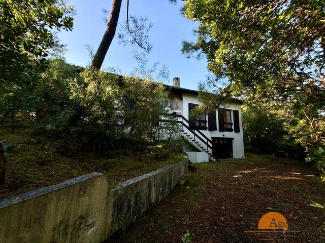 Maison vente à Lège-cap-ferret, Gironde
