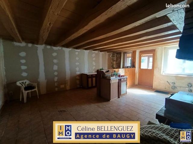 Maison vente à Bourges, Couy