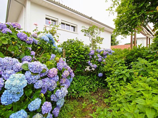 Maison vente à Dax, Sort-en-chalosse