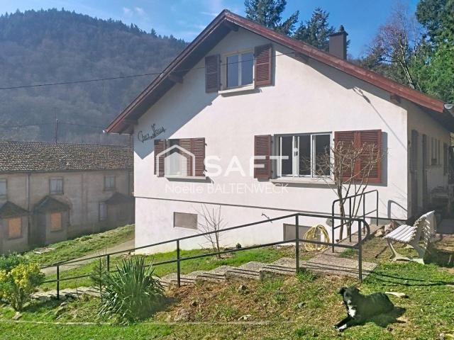 Maison vente à Colmar-Ribeauvillé, Kaysersberg