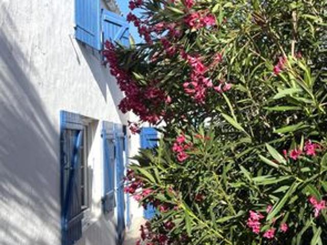 Maison vente à La Rochelle, Loix