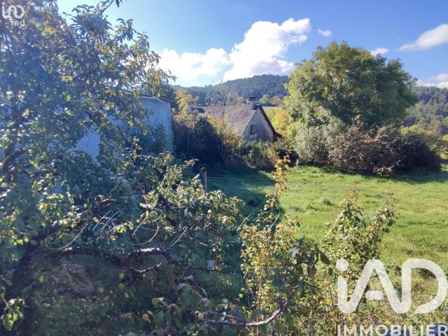 Maison vente à Saint-Georges-de-Lévéjac, Massegros Causses Gorges