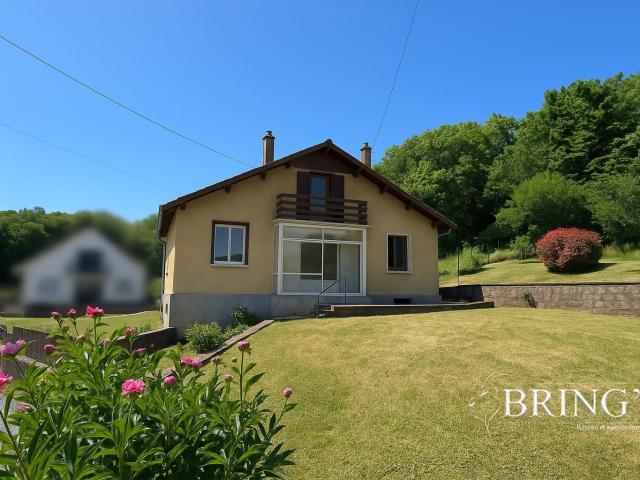 Maison vente à Val-de-Briey, Grand Est