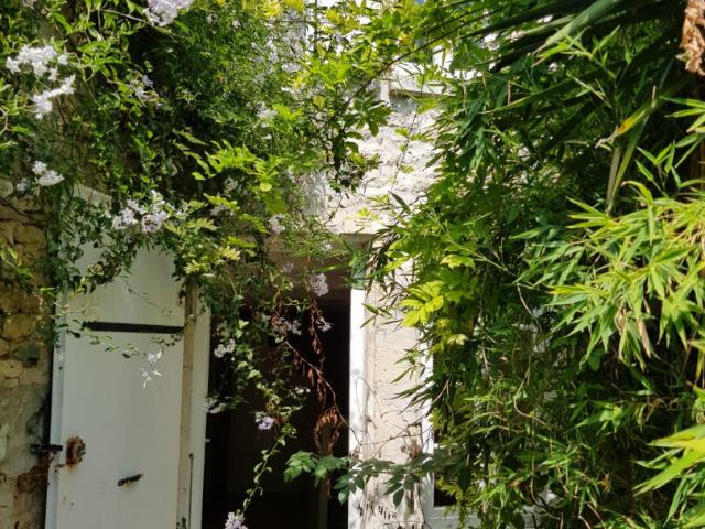 Maison vente à Rochefort, Saint-pierre-d'oléron