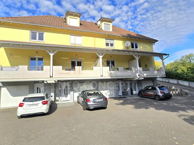 Maison vente à Seltz, Collectivité européenne d'Alsace