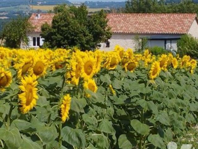 Maison vente à Castéra-lectourois, Gers